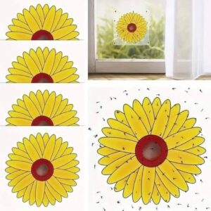 PUTUKAPÜÜNIS AKNALE